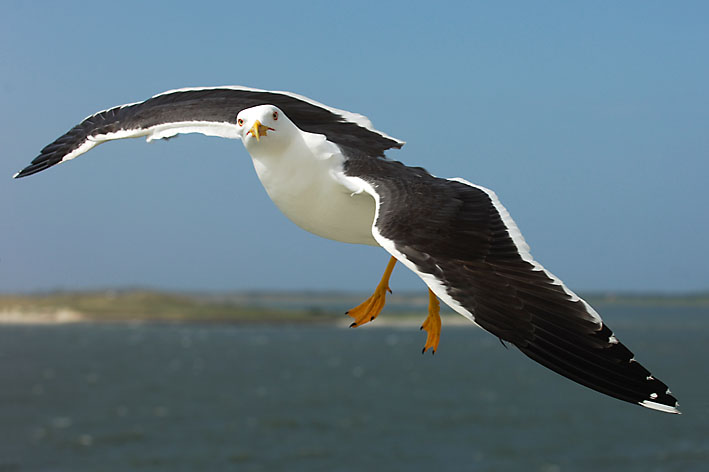 Gibt`s nicht doch was zu Fressen?