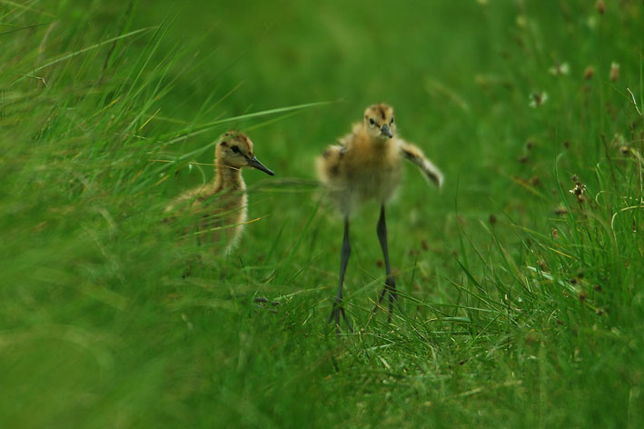 Übung macht den Meister