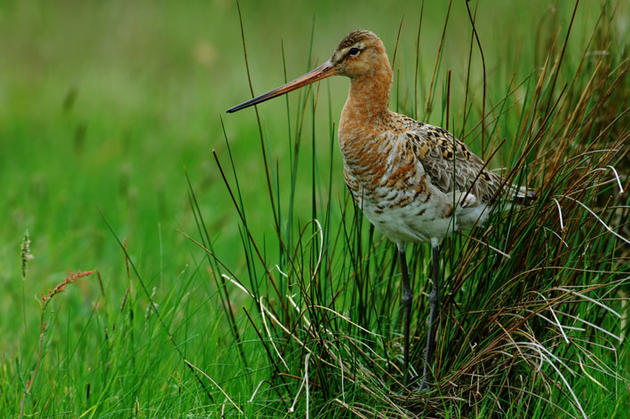 Unter aufmerksamer Bewachung der Eltern