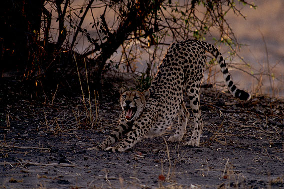 Ende des Mittagsschlafes