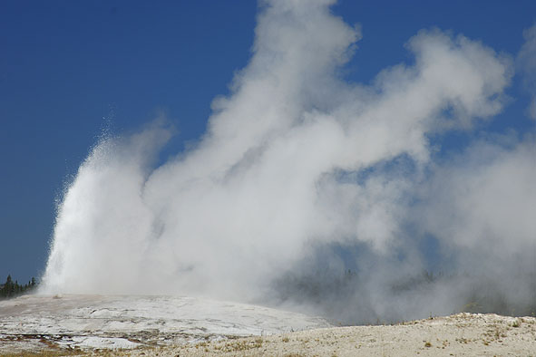 Old Faithful bei Tag: der bekannteste Geysir