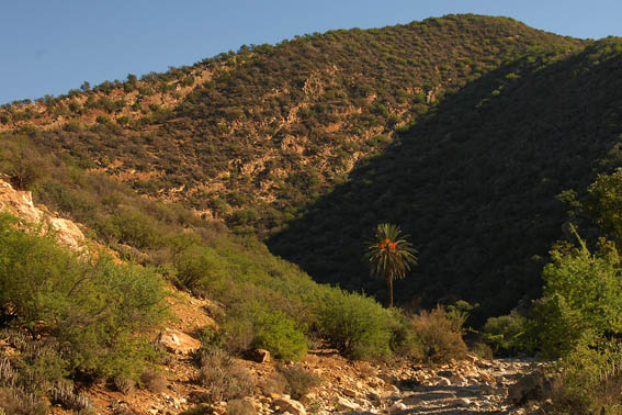 Flußtal im hohen Atlas