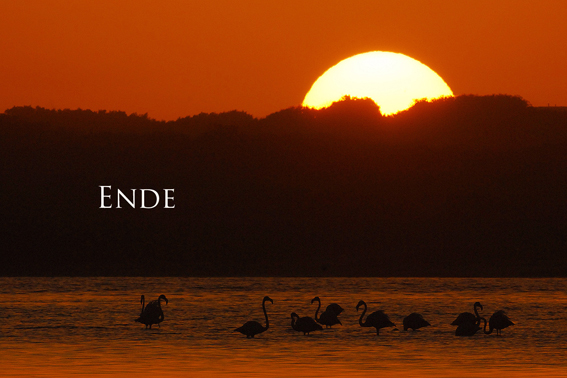 Eine Woche ist schnell vorbei.