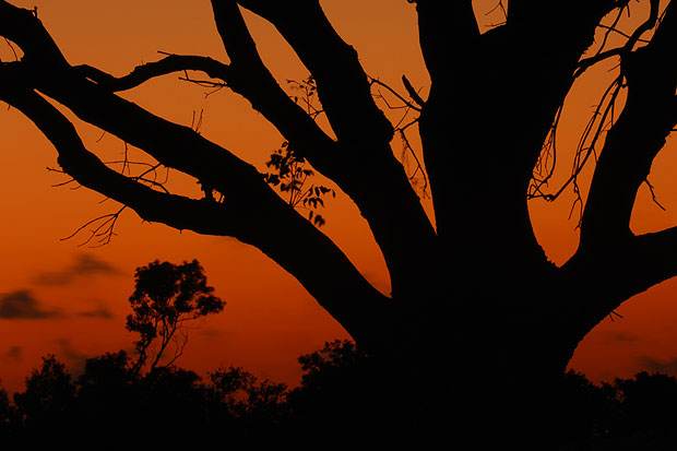 Abendhimmel in Flamingo