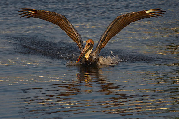 ... und Landung beim letzten Tageslicht