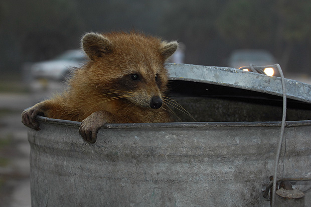Die Nachtschicht beginnt...