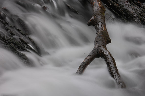 Iserbach am Waldstück 24 I