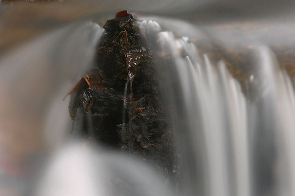Iserbach am Waldstück 24 II