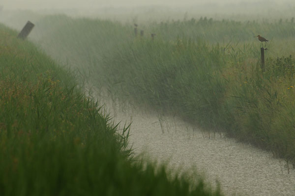 ...mit etwas unbeständigem Wetter