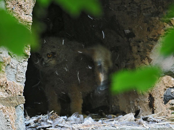 Wir üben schon mal..