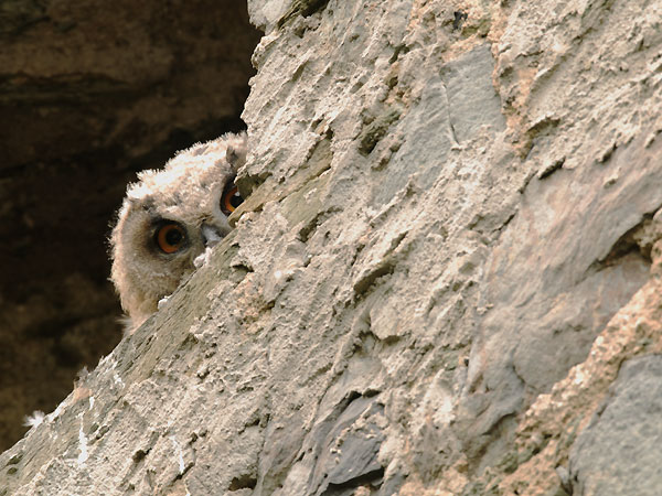 Ihr könnt mich nicht sehen