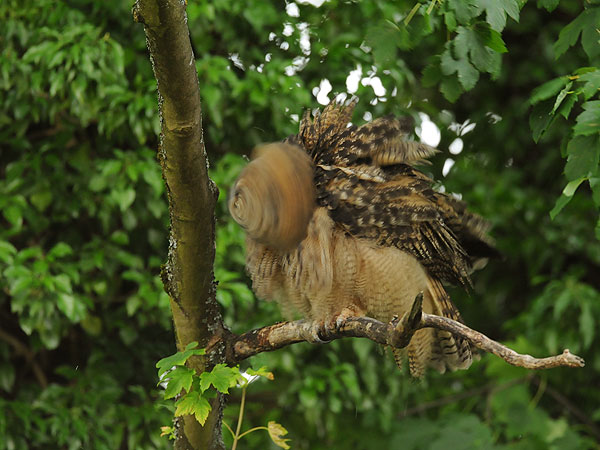 Abendliche Körperpflege