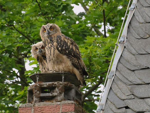 Ach, schon wieder der Fotograf