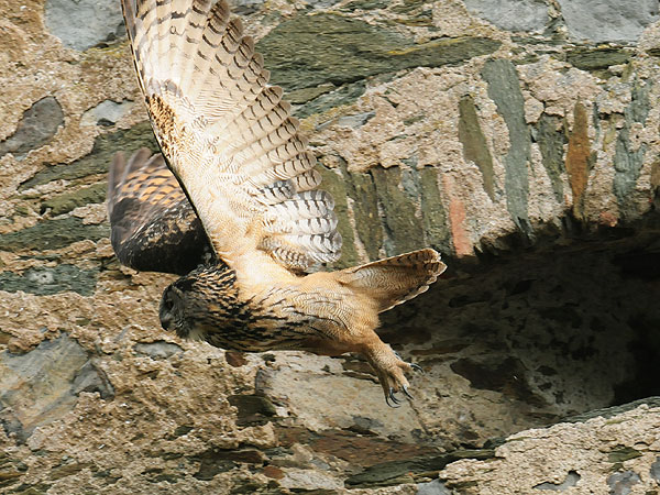 Plötzlich und unerwartet