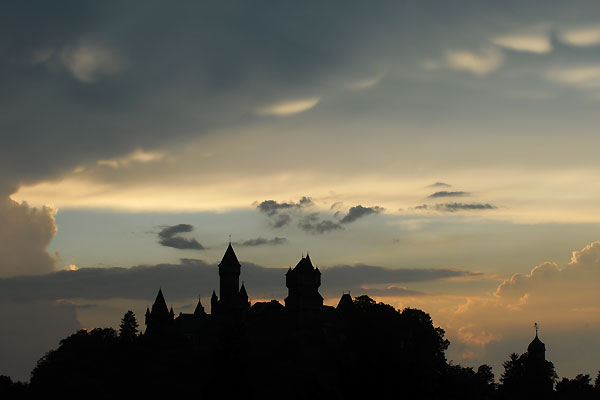 Ein Titelfoto für GalerieNatur im Schloss