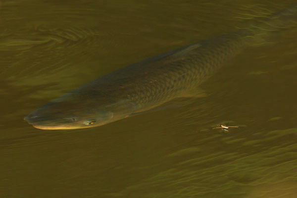 Zufällige Begegnung