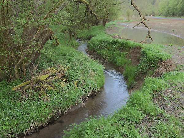 Intakter Weipersgrundbach