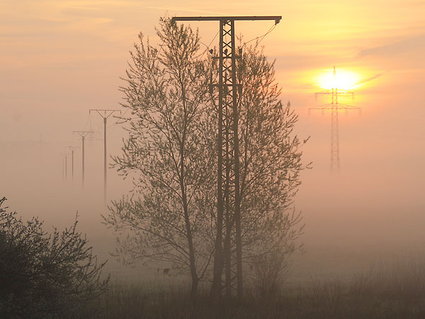 Naturlandschaft  mit vielen Kompromissen
