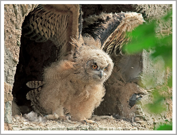 Übung macht den Meister