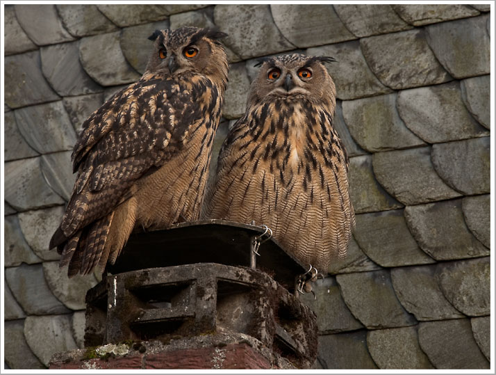 Ein abendliches Lieblingsplätzchen
