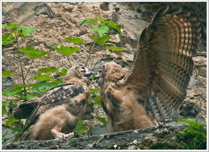 Herzliche Begrüßung