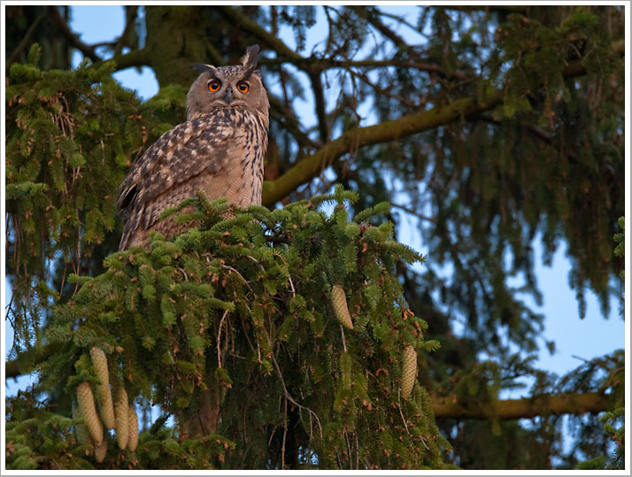 Letztes Licht nach Sonnenuntergang