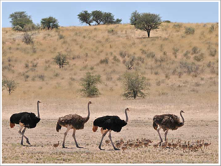 Familiengemeinschaft