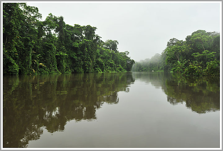 Kanal im Tortuguero NP