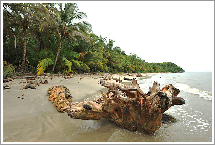 Am Karibikstrand von Cahuita