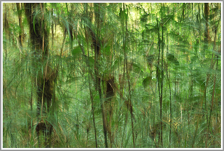 Ein Titelfoto für GalerieCosta Rica 2010