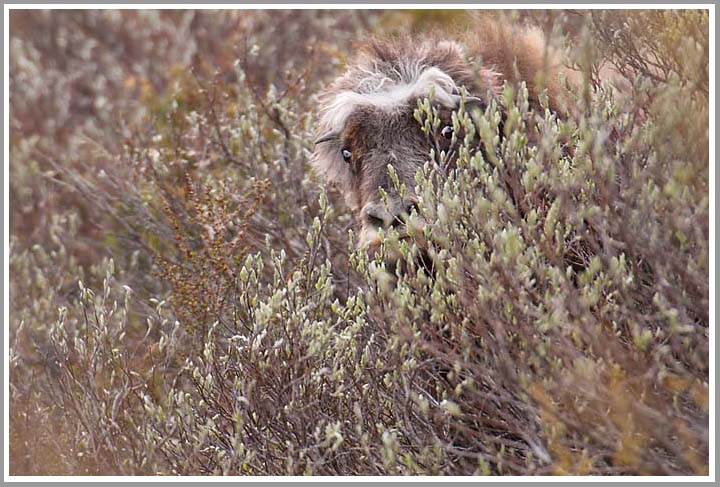 Alles unter Kontrolle