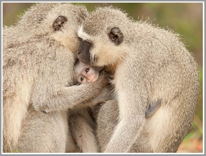 Müsst ihr so fest drücken?