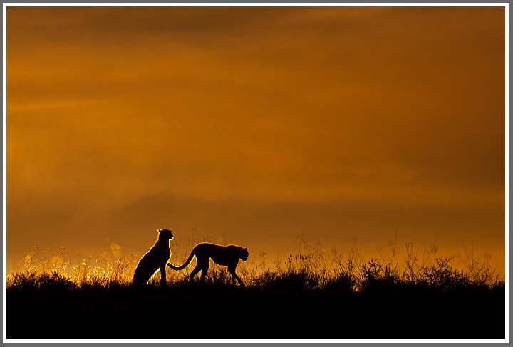 Ein Titelfoto für GalerieSüdafrika Nordkap März  2011