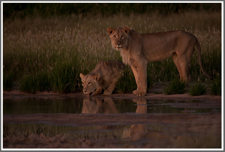 Je später der Abend...