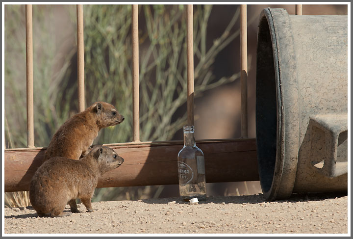 ....was mag da wohl drin sein?