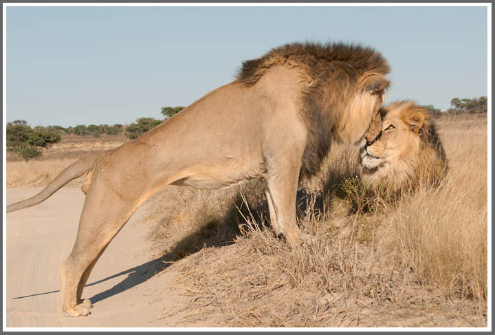 Diese innige Geschwisterliebe