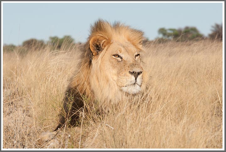 Wer ist der schönste im ganzen Land....?