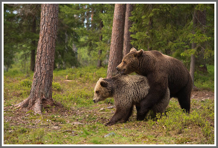 Manche mögens heiss...
