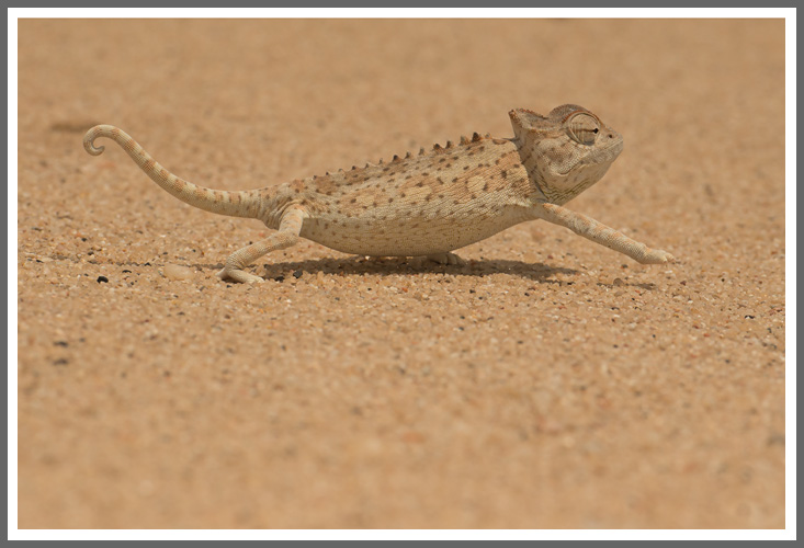 Manche mögen\'s heiß...