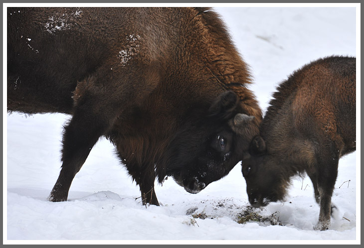 Wer hat´s gefunden?