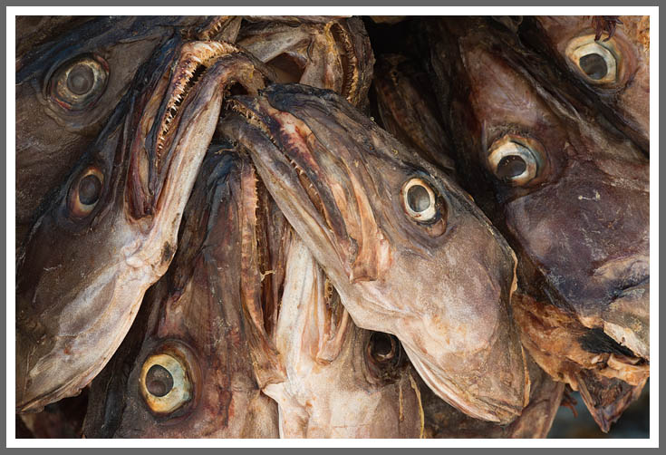 Gute fotografische Möglichkeiten, dennoch schwer verdaubarber Inhalt