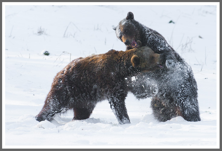 ...und kämpfen spielen