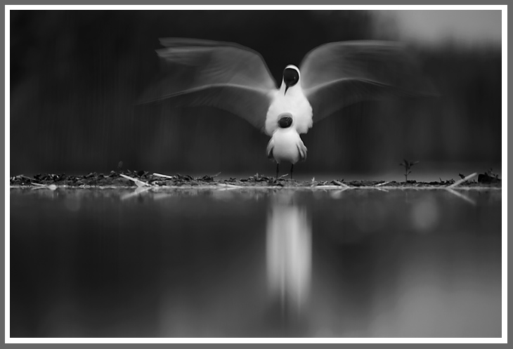 Morgens um zehn vor fünf