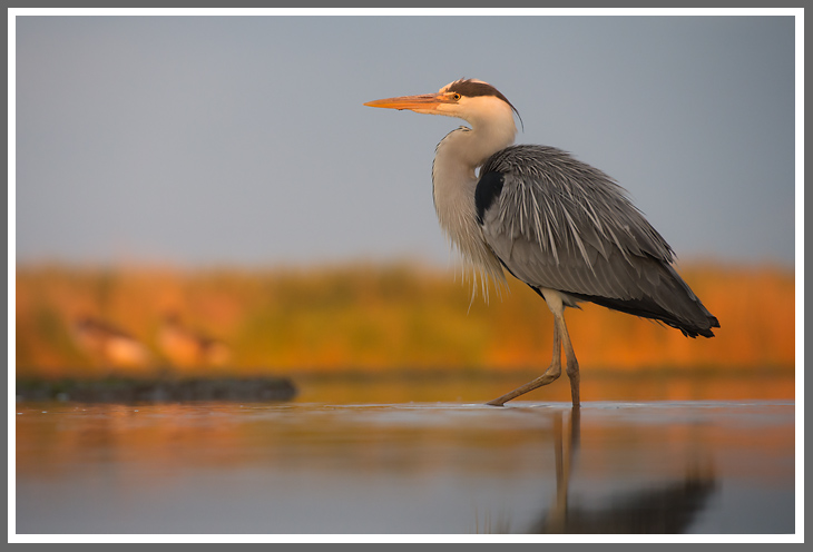 Kurzer Lichtermoment