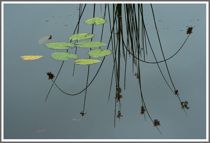 Stilleben am Fluss Tsende