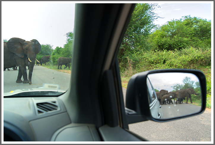 Rückwärts fahren geht auch nicht