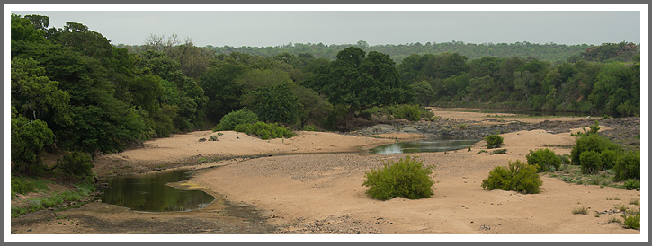 Flussbett des Timbavati