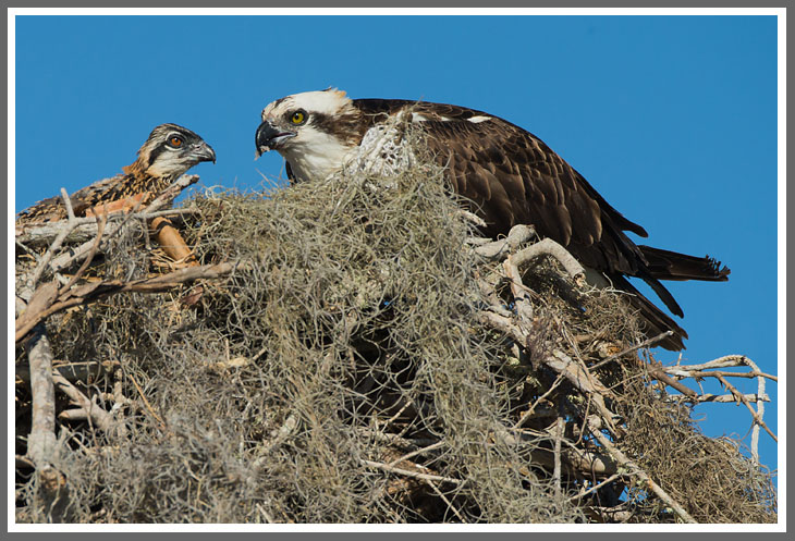 Ein Häppchen für...