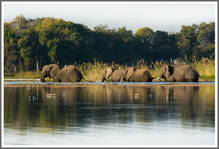 Einer nach dem Anderen