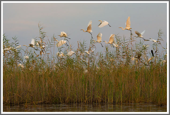 Ein Titelfoto für GalerieVom Okavango-Delta zu den Victoria-Fällen  2014
